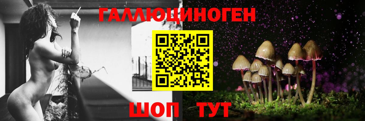 Галлюциногенные грибы Psilocybine cubensis Каменск-Уральский
