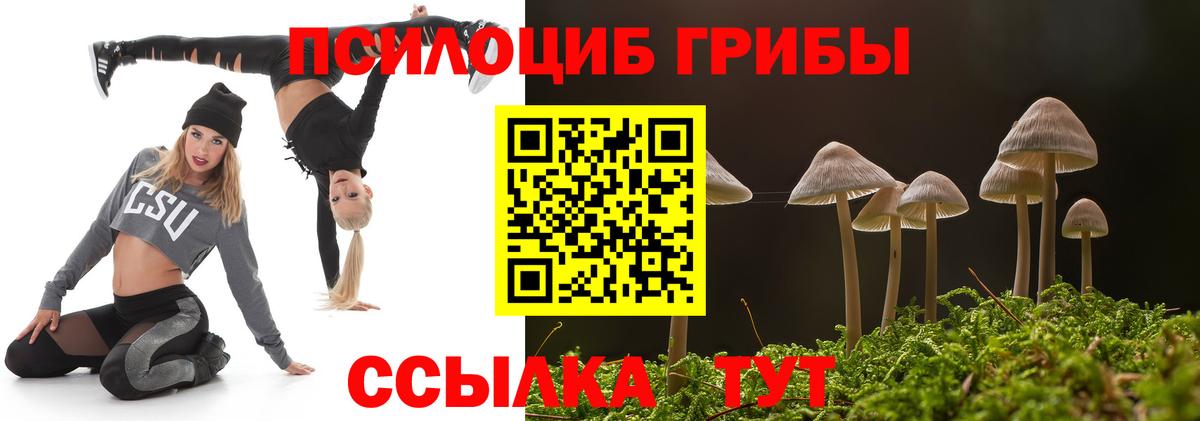 Каменск-Уральский  купить наркоту  Вход с VPN  Галлюциногенные грибы MAGIC MUSHROOMS 